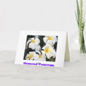 Hawaiiplumeria-Blumen-Gruß-Karte Karte (Rückseite)