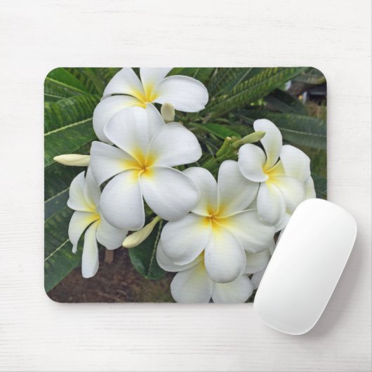 Hawaiiplumeria-Blumen Mousepad (Mit Mouse)