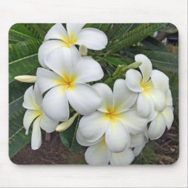 Hawaiiplumeria-Blumen Mousepad