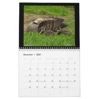 Hawaiis Juwelen 2021 Kalender