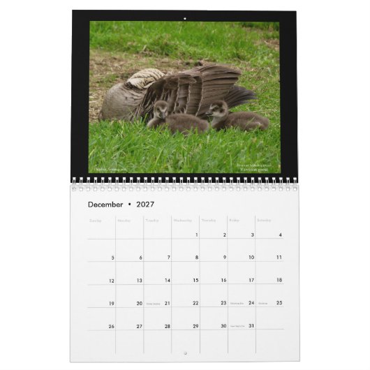 Hawaiis Juwelen 2021 Kalender (Dez 2027)