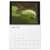 Hawaiis Juwelen 2021 Kalender (Jan 2027)