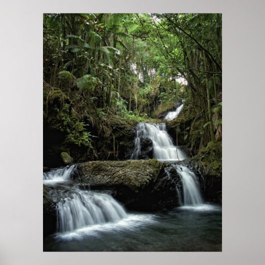 HAWAII'S ONOMEA FALLS POSTER (Vorne)