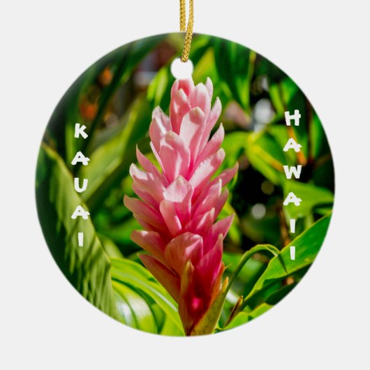 Hawaii's Plumeria and Ginger in Pink Keramik Ornament (Vorne)