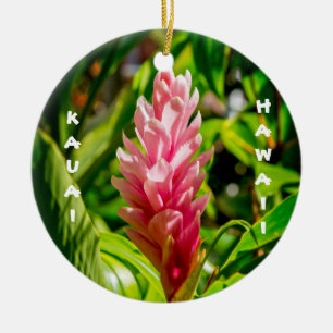 Hawaiis Plumeria und Ingwer in Rosa Keramik Ornament