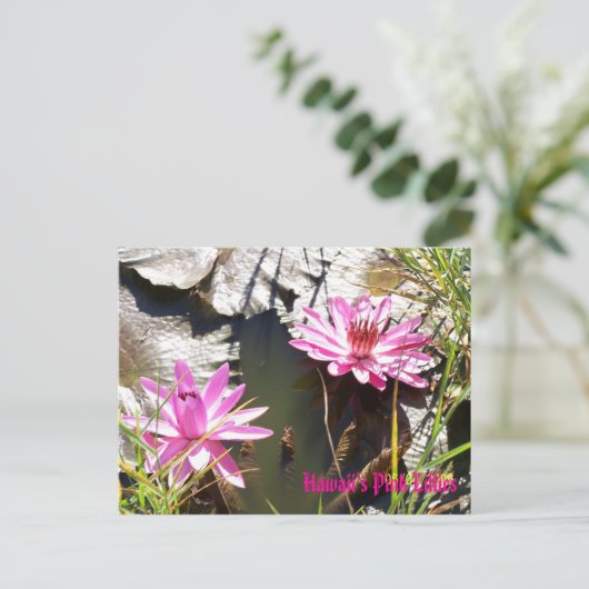 Hawaiis rosa Lilien Postkarte (Stehend Vorderseite)