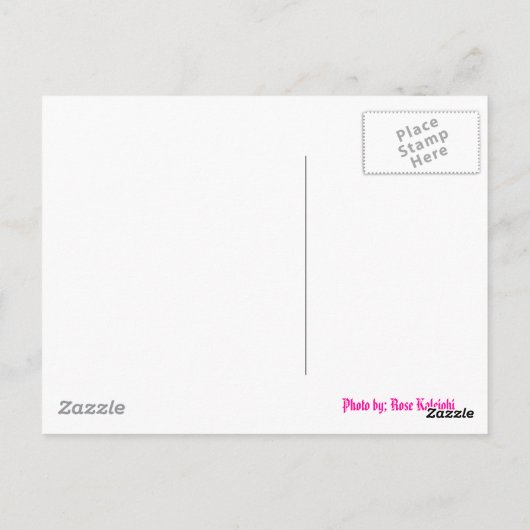 Hawaiis rosa Lilien Postkarte (Rückseite)