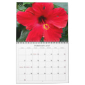 Hawaiische Farbe 2012 Kalender (Feb 2027)