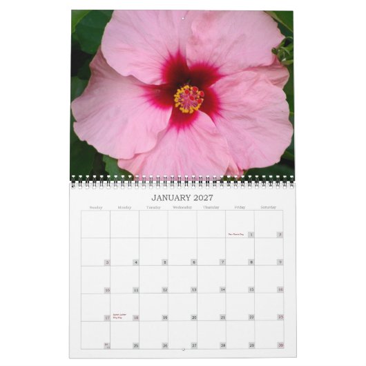 Hawaiische Farbe 2012 Kalender (Jan 2027)