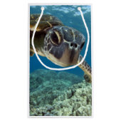 Hawaiische grüne Meeresschildkröte Kleine Geschenktüte (Rückseite)