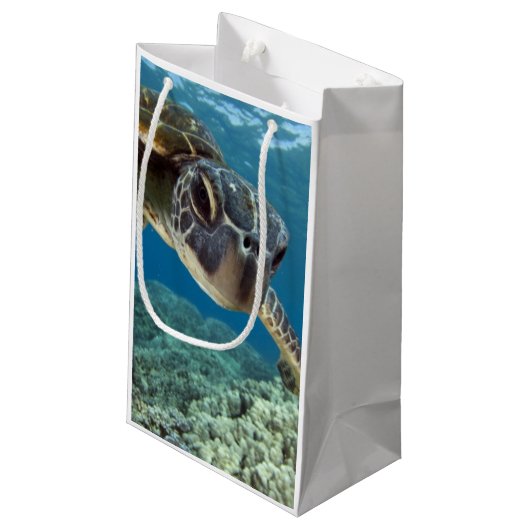 Hawaiische grüne Meeresschildkröte Kleine Geschenktüte (Rückseite Schrägansicht)