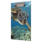 Hawaiische grüne Meeresschildkröte Klemmbrett (Links)