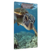 Hawaiische grüne Meeresschildkröte Klemmbrett (Rechts)