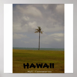 Hawaiische Palme Poster