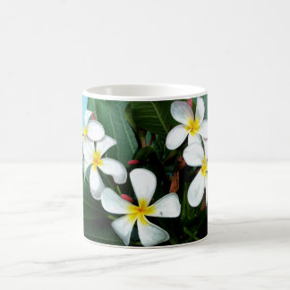 Hawaiische Plumeria-Blumen-Tasse Kaffeetasse
