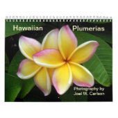 Hawaiische Plumerias Kalender (Titelbild)