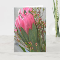 Hawaiische Protea-Blumen