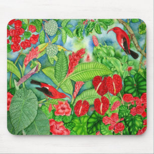 Hawaiische rote Iiwi Vögel Mousepad