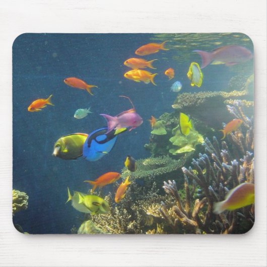 Hawaiische tropische Fische Mousepad (Vorne)