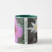 Hawaiische tropische Plumeria-u. Hibiskus-Tassen Tasse (Zentrum)