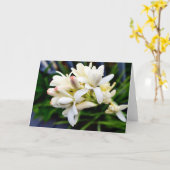 Hawaiische Tuberose-Gruppe Karte (Gelbe Blume)
