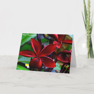 Hawaiische Weihnachtskarten Feiertagskarte