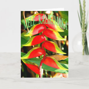 Hawaiische Weihnachtskarten Feiertagskarte