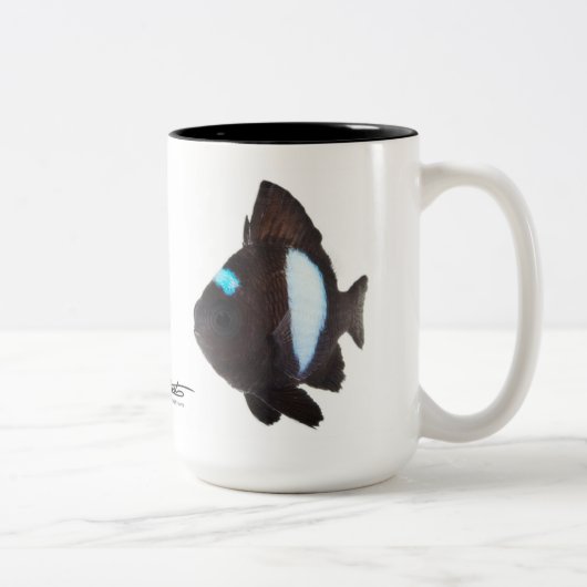 Hawaiischer DominoDamselfish, Dascyllus albisella Zweifarbige Tasse (Rechts)