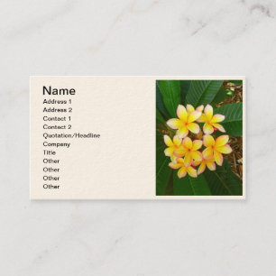 Hawaiischer Frangipani Visitenkarte