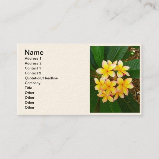 Hawaiischer Frangipani Visitenkarte (Vorderseite)