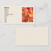 Hawaiischer Frangipani Visitenkarte (Vorne/Hinten)