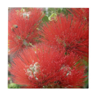 Hawaiischer gebürtiger Ohia Lehua Blumen-Entwurf Fliese