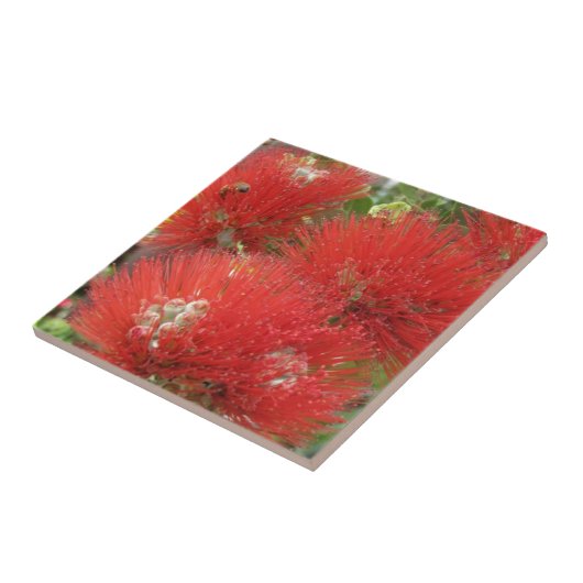 Hawaiischer gebürtiger Ohia Lehua Blumen-Entwurf Fliese (Seite)