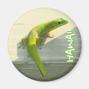 Hawaiischer Geckomagnet Magnet