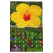 Hawaiischer Hibiskus 2021 Kalender (Mär 2027)