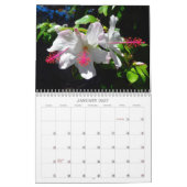 Hawaiischer Hibiskus 2022 Kalender (Jan 2027)