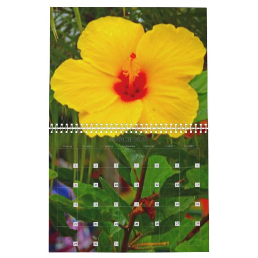 Hawaiischer Hibiskus 2022 Kalender (Mär 2026)