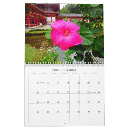 Hawaiischer Hibiskus 2022 Kalender (Feb 2026)