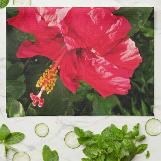 Hawaiischer Hibiskus Geschirrtuch (Gefaltet)