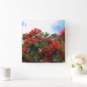Hawaiischer königlicher Poinciana blühender Baum Quadratische Wanduhr (Zuhause)