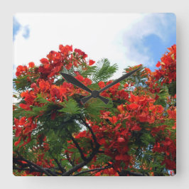 Hawaiischer königlicher Poinciana blühender Baum Quadratische Wanduhr
