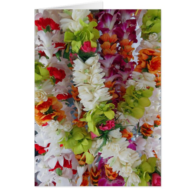 Hawaiischer Leu-Stand (Vorne)