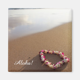 Hawaiischer Leu-Strand-Magnet Magnet