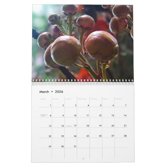 Hawaiischer Naturkalender Kalender (Mär 2026)