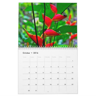 Hawaiischer Naturkalender Kalender