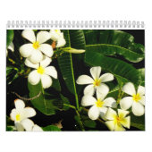 Hawaiischer Naturkalender Kalender (Titelbild)