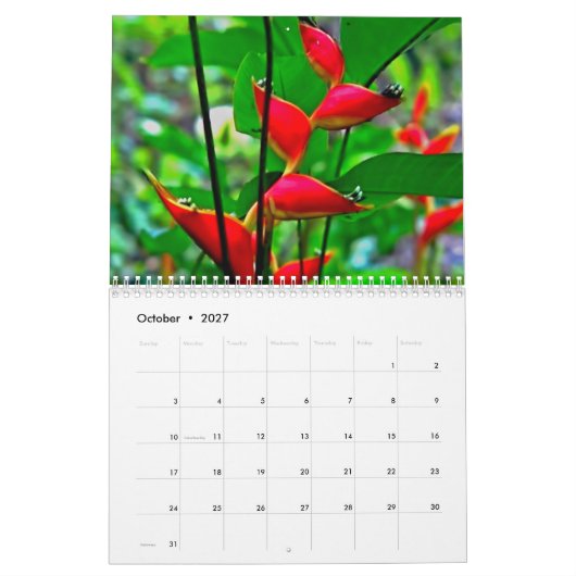 Hawaiischer Naturkalender Kalender (Okt 2027)