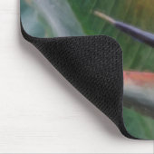 Hawaiischer Paradiesvogel Mousepads (Ecke)