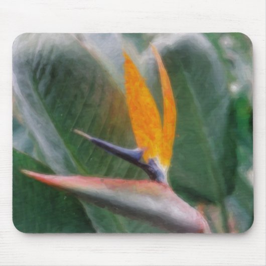 Hawaiischer Paradiesvogel Mousepads (Vorne)