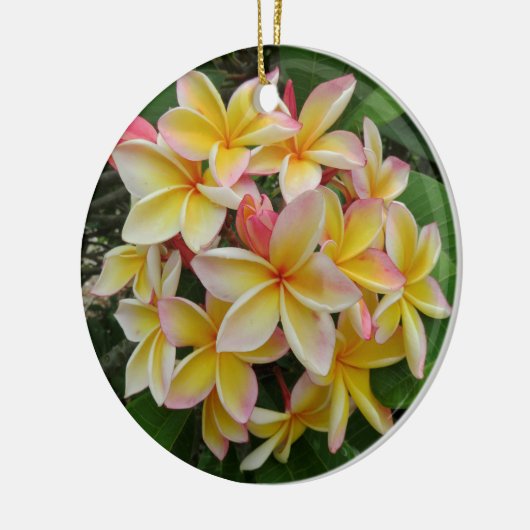 Hawaiischer Plumeria Keramikornament (Links)